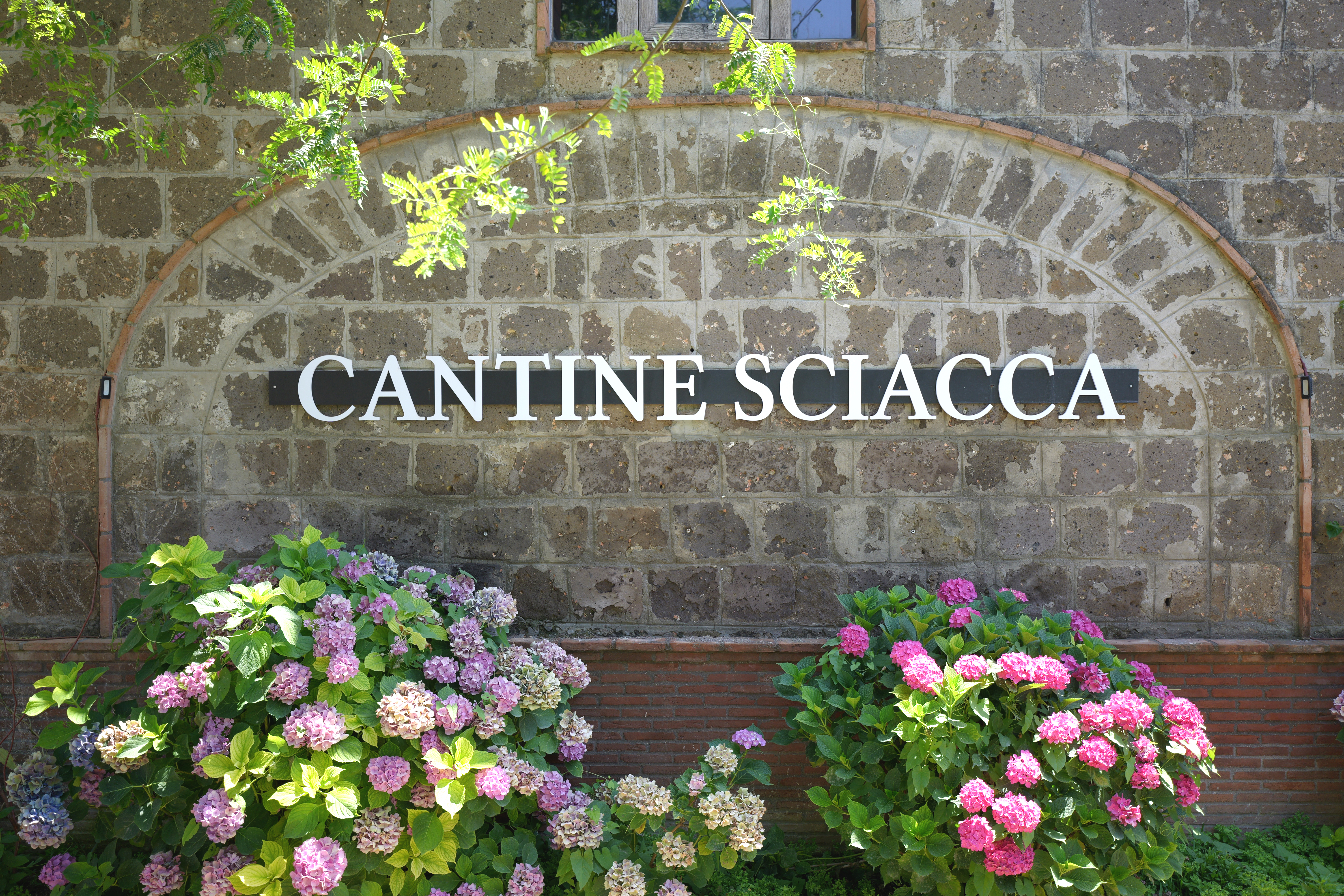 Tenuta Sciacca Vista